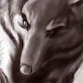Sif (Study)
