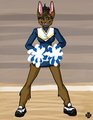 Sports Series - Cheerleading