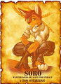 Soro wanted poster