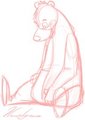 Bear Sitting...