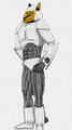 Doberom Mk-3 Armor