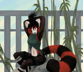 red panda kunoichi