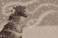 Come Again by Mahrkale