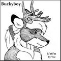 Hand drawn Buckyboy