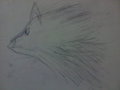 Deutsch Fox