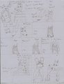 BOF #2 5/9/2011 by Autumnringtail