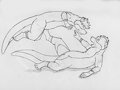Otter Pounce