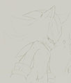 shadow doodle