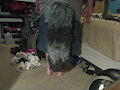 Yarn tail