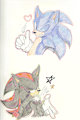 Two sexy hedgehogs  by SONICJENNY
