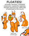 floatie ref! by hospice