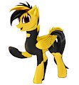 Dark Thunder(my ponysona) by prats1983