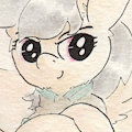 A True Adventure Pony