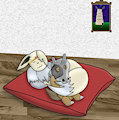 Napping Time