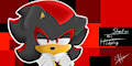 Shadow The Hedgehog 3D Practice