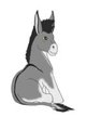 My Little Donkey