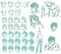 Head Ref