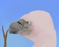 Vulture by Lockra