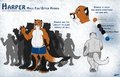 harper by aggro_badger