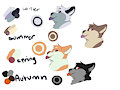Seasonal Fur Colours by Cookiesdaburr