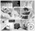 SEXERCISE REBORN COMIC P1 TEASER