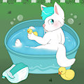 [C] Summer time