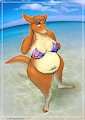 Fair-Weather Flyer (2011) by LittleNapoleon