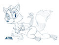 Harem raccoon girl sketch by randolfsparks