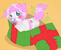 The Puppy Present~!