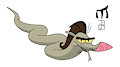 Paddy Python