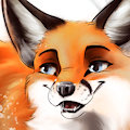 Snow Fox