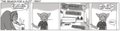 SFP - Ebay