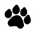 Nerdypaws #2 - Resident Evil Series