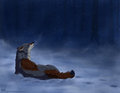 Stille Nacht