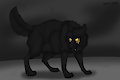 SCP 023
