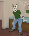 Housecat by zaigane