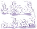 Pokesona Transform