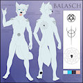 Balasch Fenrich, "Arctic Wish", Holovainen