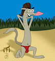 Paddy in a Speedo