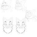 Random facial expression practice
