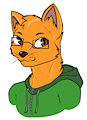 Youtube Profile - Nic