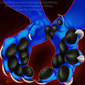 NOT MY ART: Doran 'paw bust' by TideKeeper by Doran