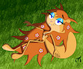 Wild Scarlet