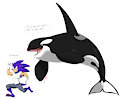 orca wants to play