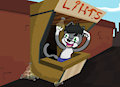 Lihts