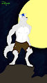 Moonlight