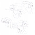 ACH in pony/brony form