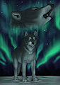 Northern Lights by Nievaris