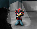 Commission - SonadowKokoro100 by BlizzardWolf