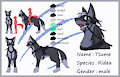 Tsume Ridea Charsheet by Tsume